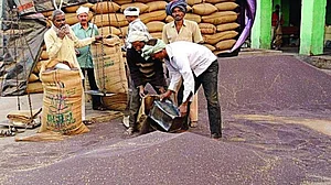 हरियाणा: किसानों को नहीं मिल रहा फसल का वाजिब दाम, मंडियों की अव्यवस्था से भी परेशान, पूर्व सीएम हुड्डा ने उठाए सवाल