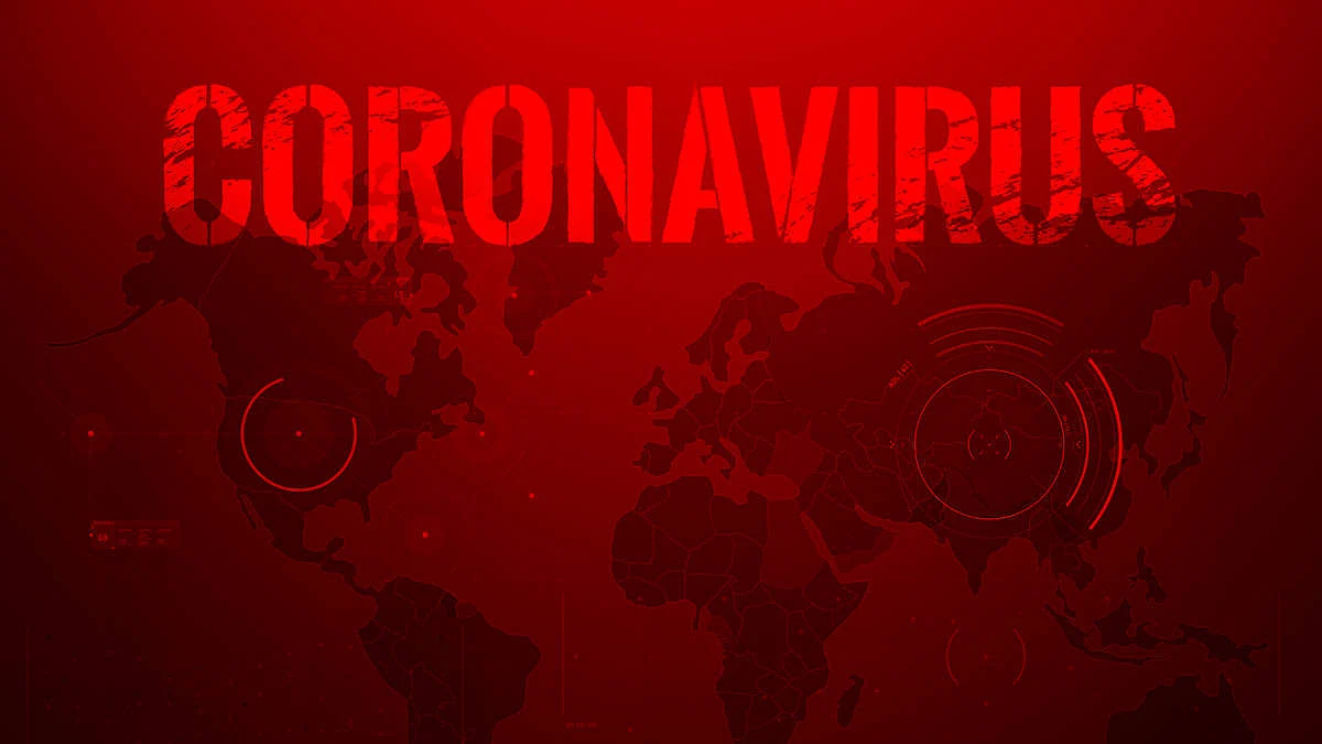 फोटो : सोशल मीडिया