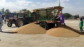 फोटो : सोशल मीडिया