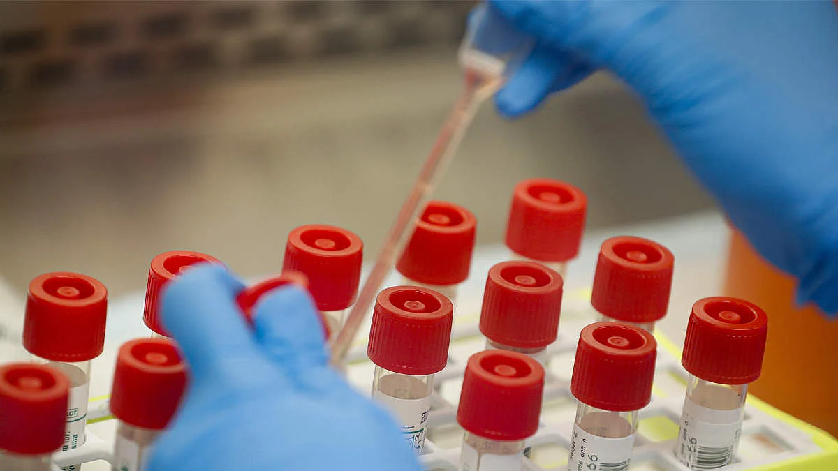 फोटो: सोशल मीडिया