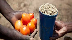 सामान के बदले सामान लेने-देने के दौर में लौटा बिहार, कोरोना और लॉकडाउन में जीने के लिए लोगों ने खोजा तरीका