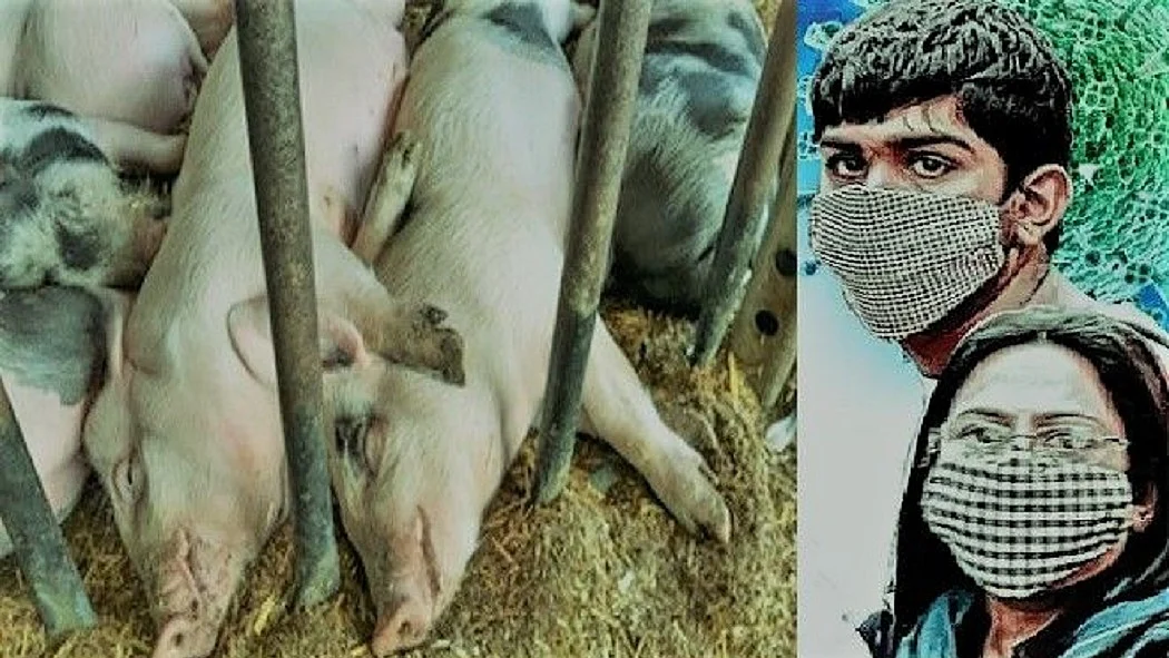 फोटो : सोशल मीडिया
