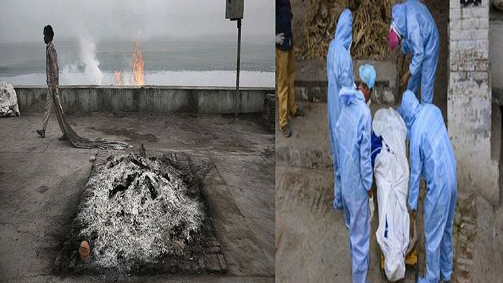 फोटो: सोशल मीडिया