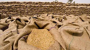 कोरोना संकट में आटे के बाद ‘गेहूं घोटाला’, यूपी में गरीबों को बंटने वाला 500 क्विंटल गेहूं मध्य प्रदेश में बरामद