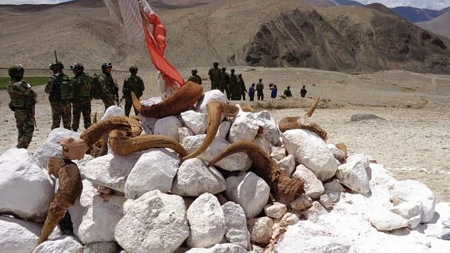 फोटोः सोशल मीडिया