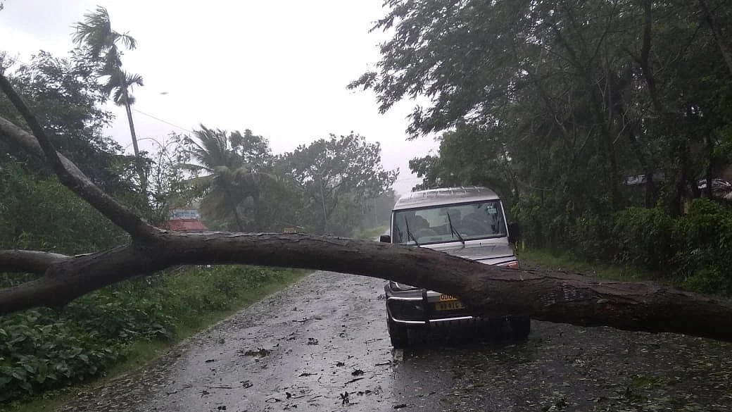 फोटो: सोशल मीडिया