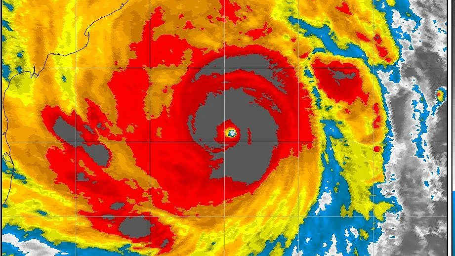 फोटोः सोशल मीडिया