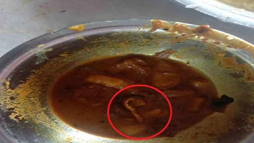 फोटो : सोशल मीडिया