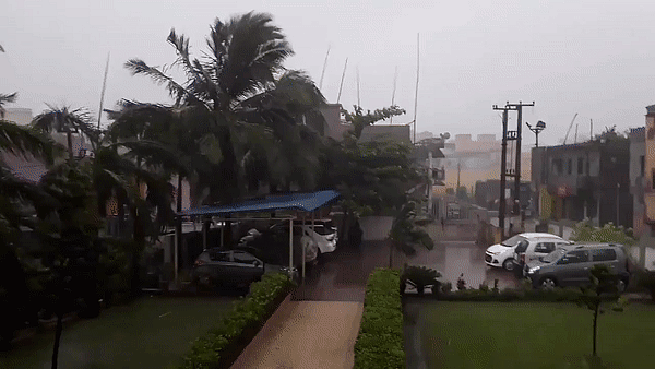 फोटो: सोशल मीडिया