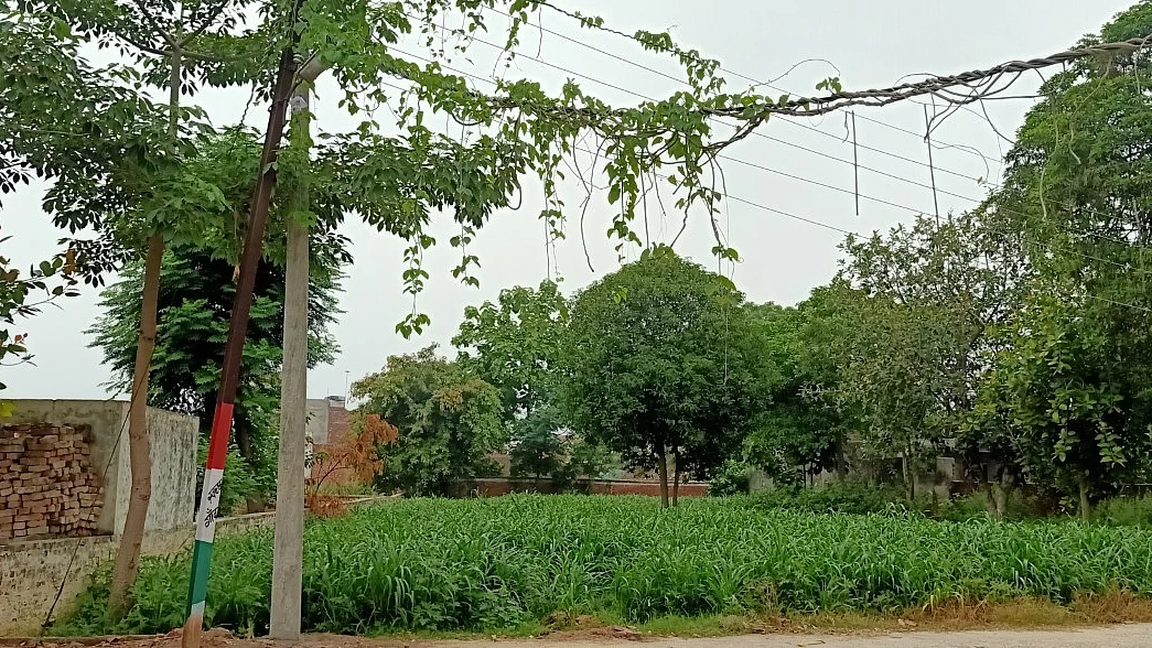 फोटोः सोशल मीडिया