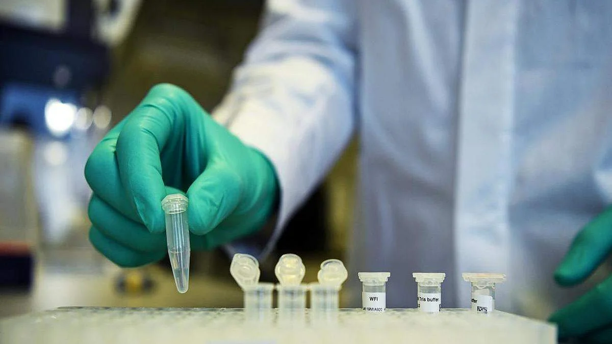 फोटो सोशल मी़डिया