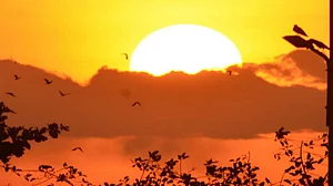 विष्णु नागर का व्यंग्यः सूरज का पूरब से निकलना बंद, लोकतंत्र में प्रधानमंत्री की बताई दिशा से ही निकलेगा!