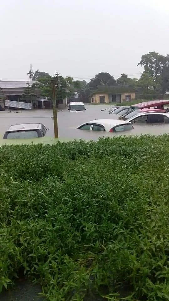 फोटो: सोशल मीडिया