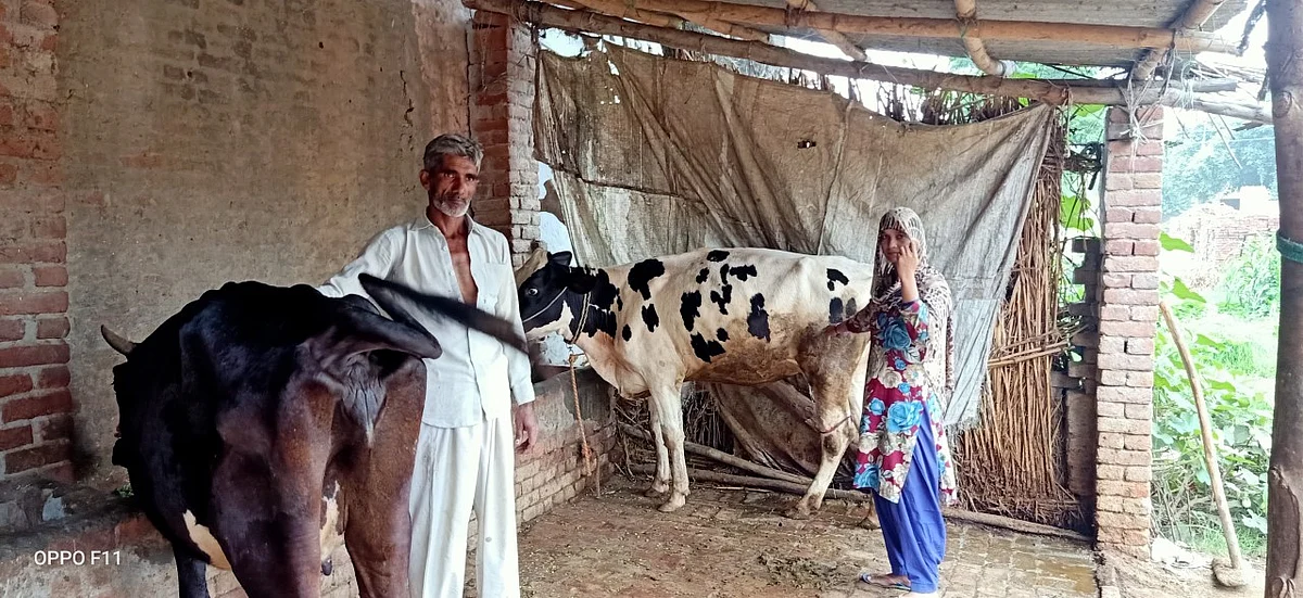 फोटोः आस मोहम्मद कैफ