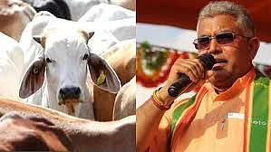 कोरोना से मचे कोहराम के बीच बंगाल BJP अध्यक्ष बोले- वायरस से बचने के लिए पिए गौमूत्र, गधे नहीं समझेंगे इसकी अहमियत