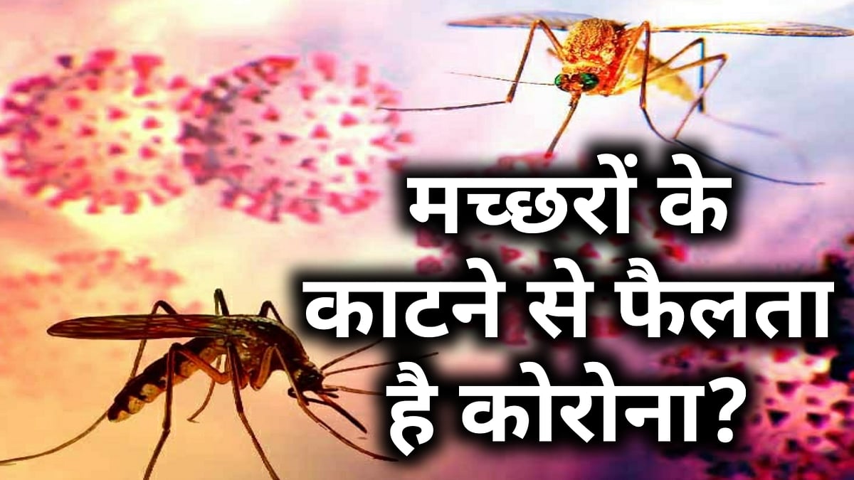 वीडियो: मच्छरों के काटने से भी फैलता है कोरोना वायरस? रिसर्च में ये सच आया सामने