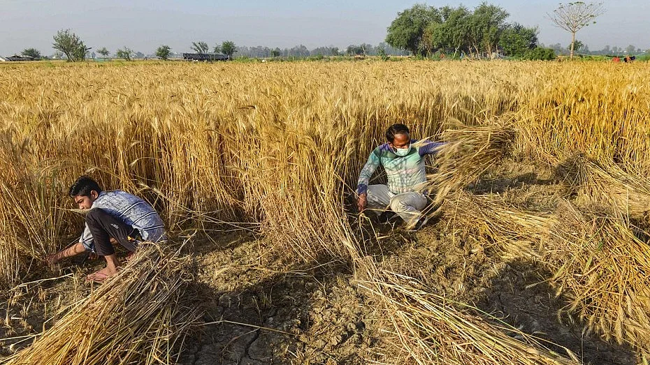 फोटोः सोशल मीडिया