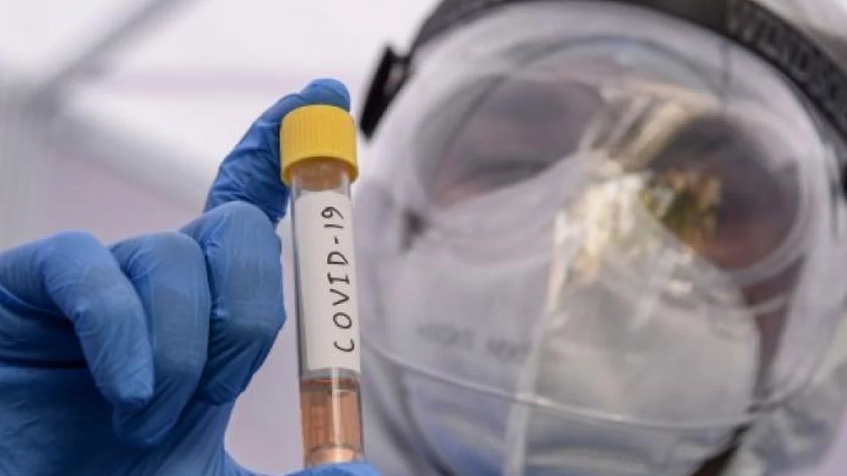 फोटो: सोशल मीडिया