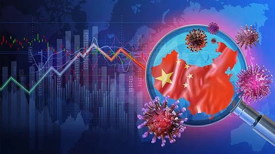 फोटो : सोशल मीडिया