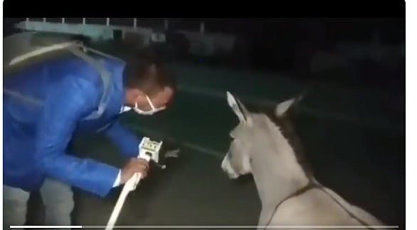 फोटो: वीडियो ग्रैब