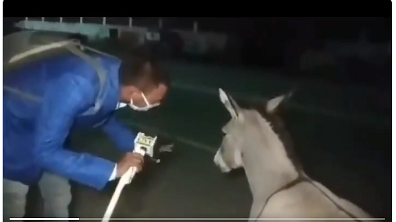 फोटो: वीडियो ग्रैब