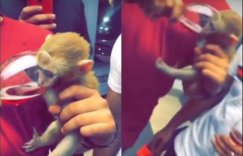 चंडीगढ़ः बंदर रखने के आरोप में टैटू आर्टिस्ट गिरफ्तार, बेजुबान को जबरन मादक पदार्थ पिलाने का भी आरोप