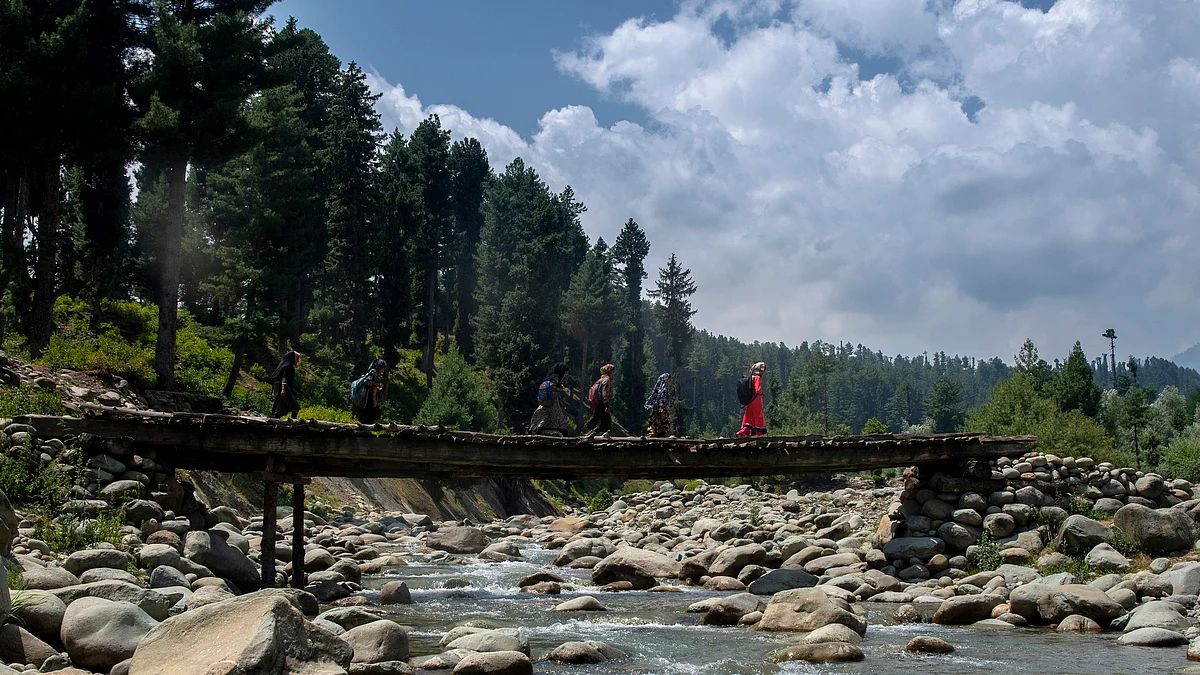 फोटो: सोशल मीडिया