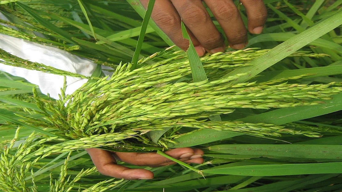 फोटो: सोशल मीडिया