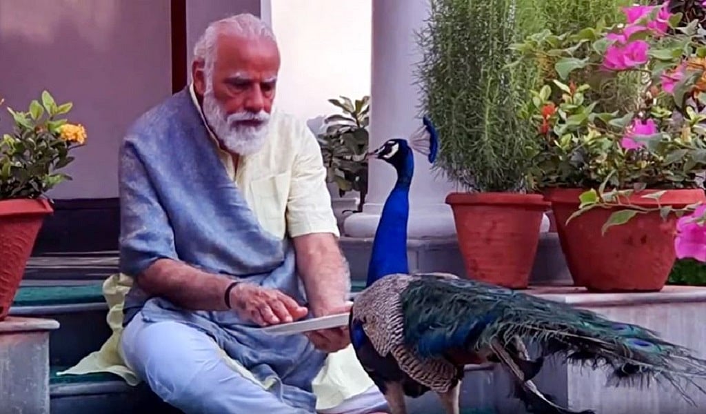 मृणाल पांडे का लेख: नेतृत्व की सुदर्शन छवियां दिखाता रह गया मीडिया, मार गई महामारी, ढह गई इकोनॉमी