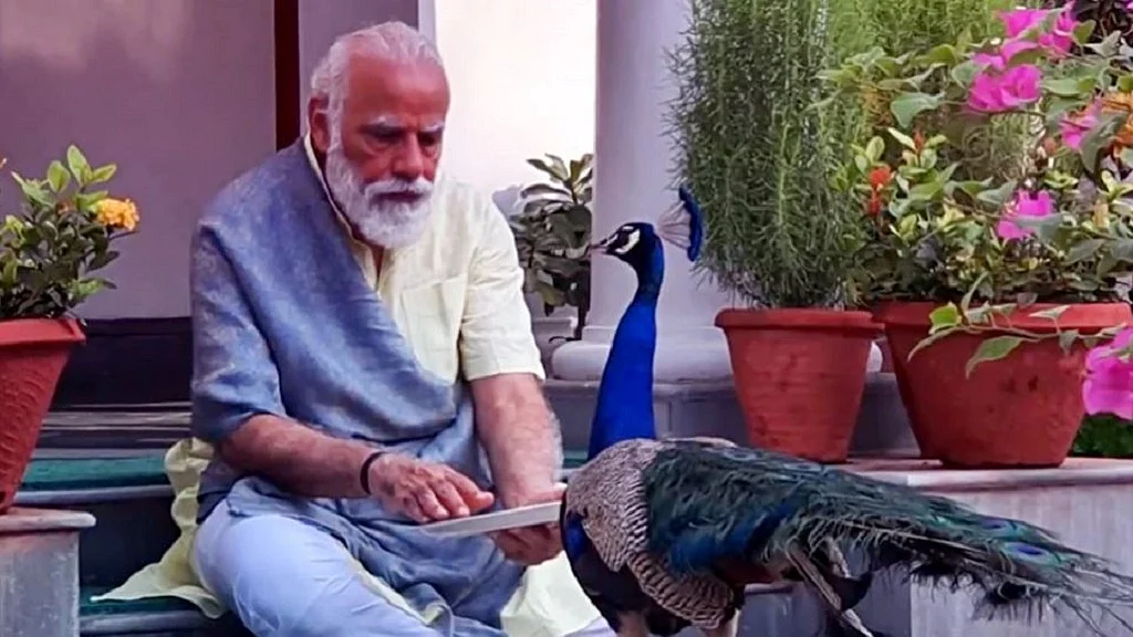 फोटो: सोशल मडिया