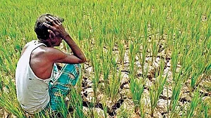 कृषि बिल लाने वाली मोदी सरकार को नहीं पता किसानों की आमदनी, 2015 से नहीं आया औसत आय का डाटा
