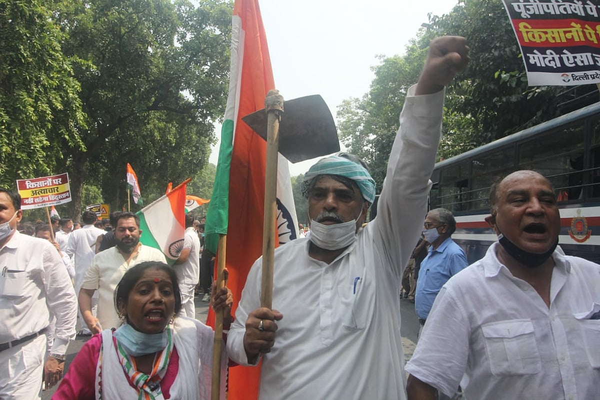 फोटो: विपिन