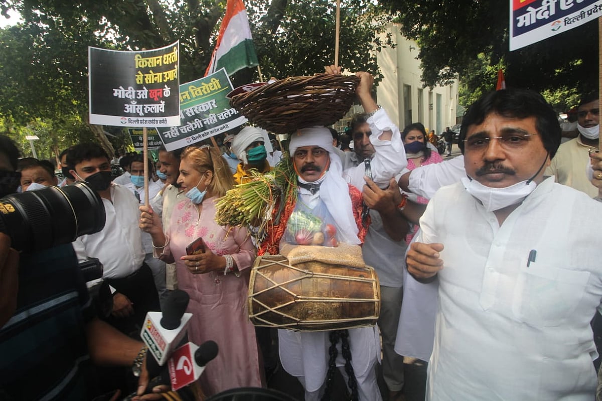 फोटो: विपिन