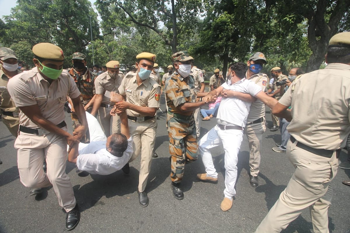 फोटो: विपिन