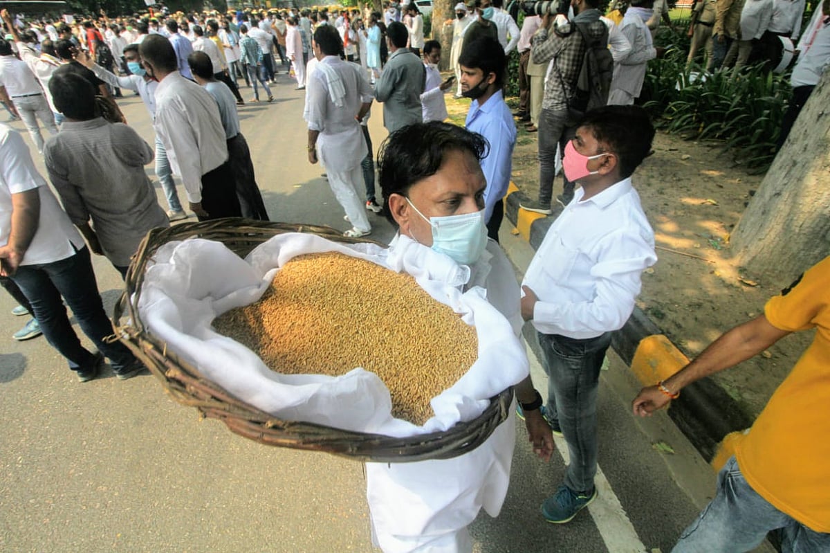 फोटो: विपिन