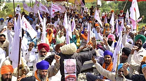 किसानों की चिंता है तो MSP से कम पर फसल खरीदने-बेचने को अपराध क्योंं नहीं घोषित करती सरकार: पंजाब से ग्राउंड रिपोर्ट