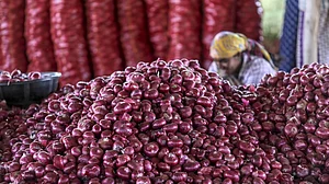 देश में प्याज के भाव ने शुरू किया रुलाना, दिवाली पर आसमान छू सकती हैं कीमतें! जानें कब मिलेगी राहत