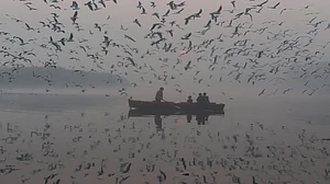 दिल्ली की हवा का ये हाल, दमघोंटू फिजाओं में इंसान से लेकर परिंदे तक बेहाल! देखें हालात को बयां करती ये तस्वीरें