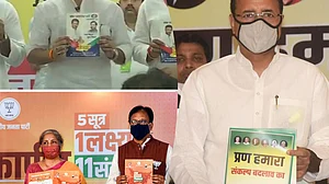 फोटो : सोशल मीडिया