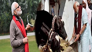 फोटो: सोशल मीडिया