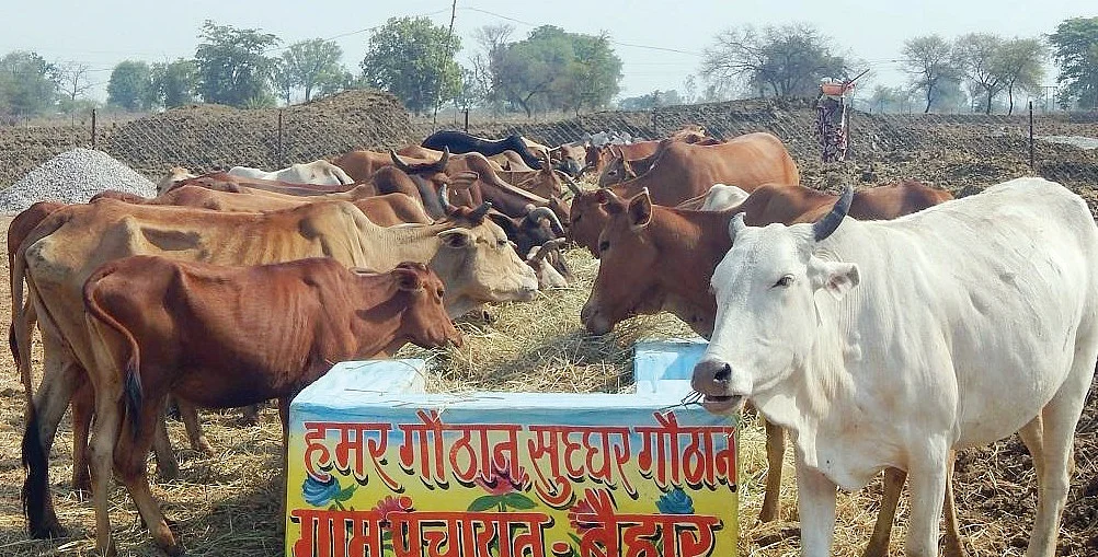 खनिज, खदान और रियल एस्टेट आधारित
विकास से कहां भला होता है छोटे राज्यों का !