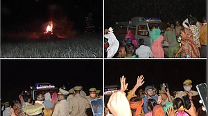 फोटो : सोशल मीडिया