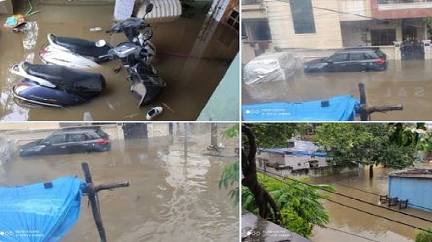 फोटो: सोशल मीडिया