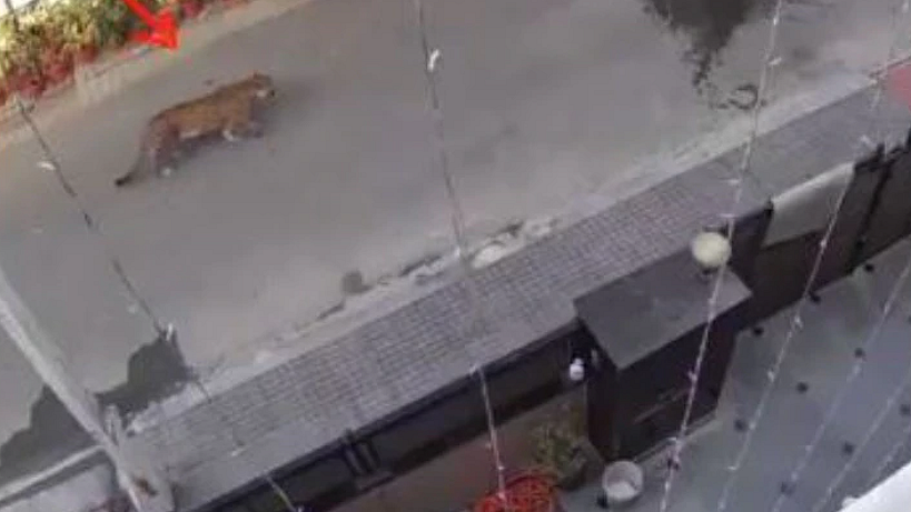 फोटो: सोशल मीडिया