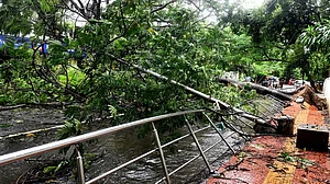 चक्रवात ‘निवार’ के गुजरने के बाद तमिलनाडु-पुडुचेरी में तबाही का मंजर, राहत कार्य में जुटी NDRF, देखें तस्वीरें