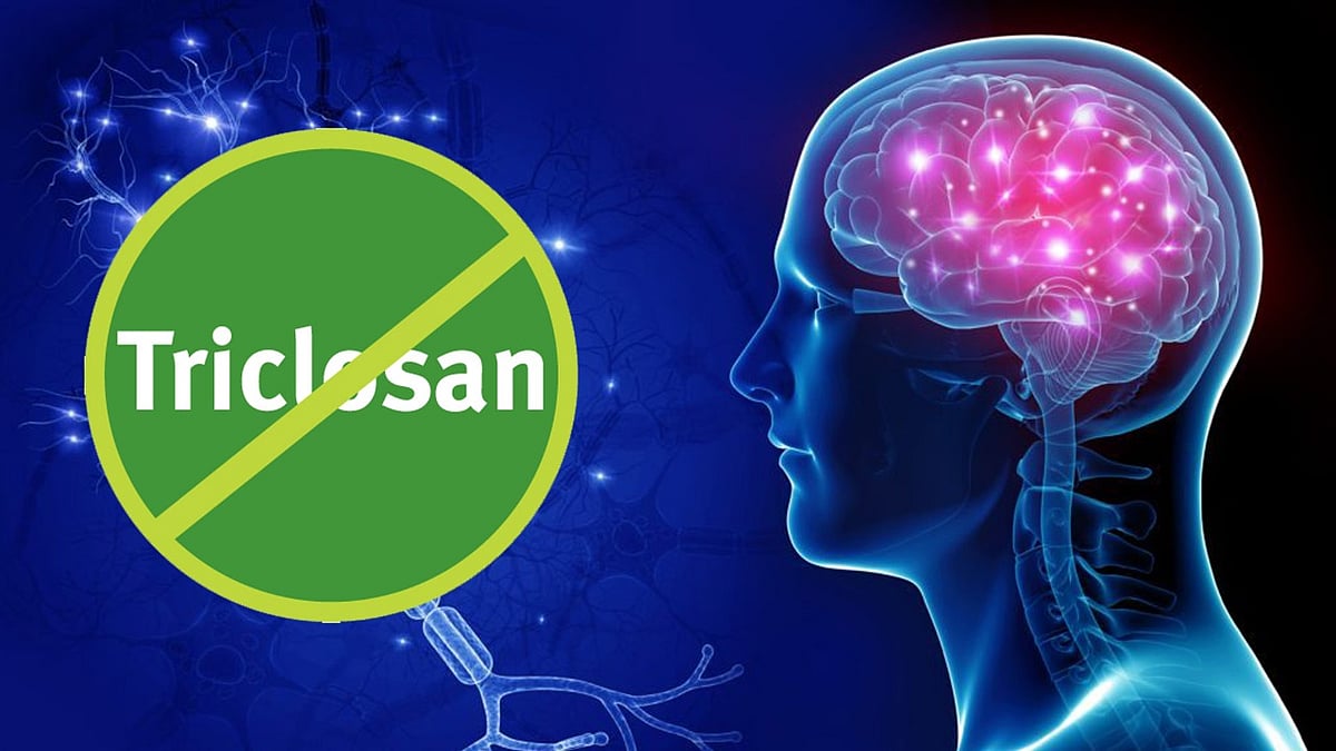 वीडियो: सावधान! टूथपेस्ट-साबुन में मिला खतरनाक ट्राइक्लोसन, नर्वस सिस्टम पर डालता है बुरा असर, रिसर्च में खुलासा