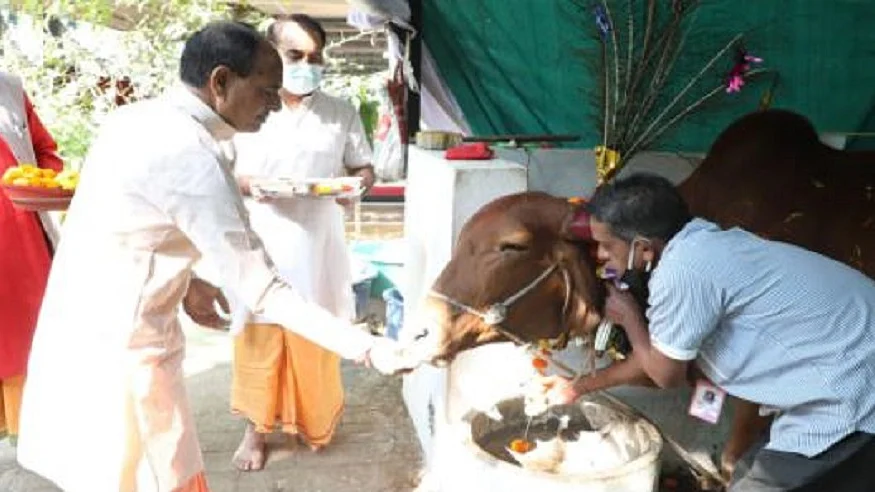 फोटो: सोशल मीडिया