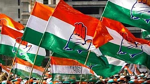 राजस्थान निकाय चुनावों में कांग्रेस की भारी जीत, 50 में से 41 निकायों पर कब्जा, निर्दलीयों से भी पीछे रही बीजेपी
