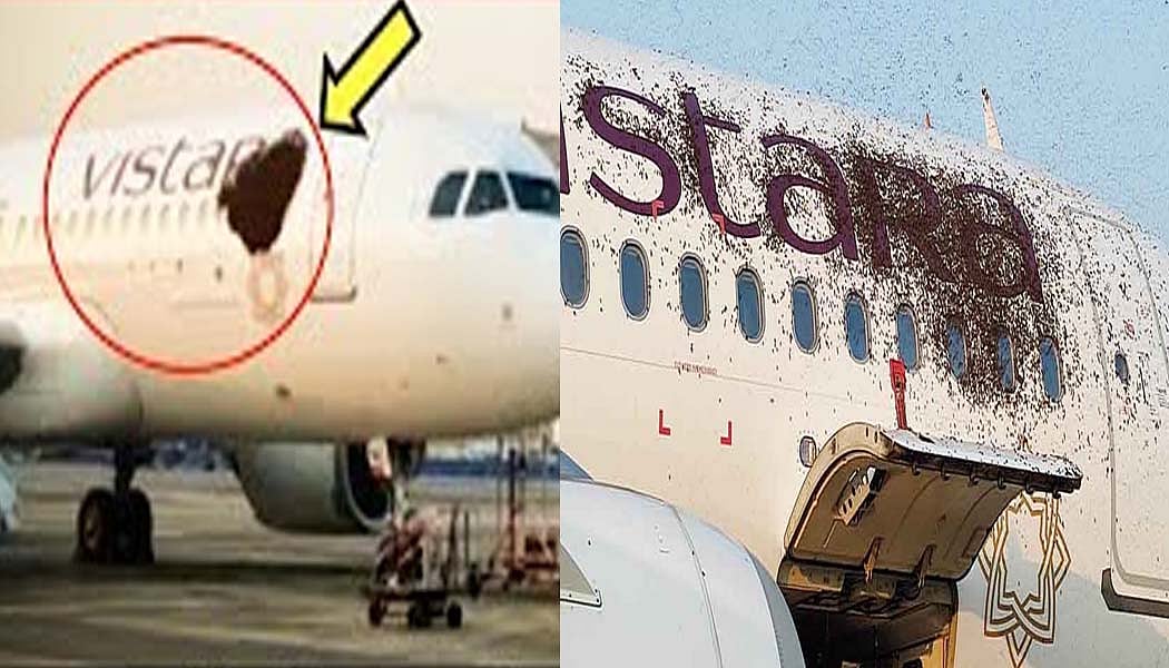 वीडियो: Vistara की फ्लाइट में इस 'काले धब्बे' को देखकर मचा हड़कंप! बुलानी पड़ी फायर ब्रिगेड की गाड़ियां