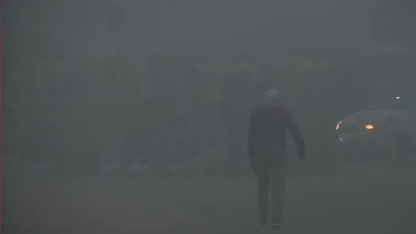 फोटो: सोशल मीडिया